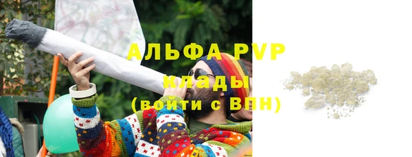 винт Богданович