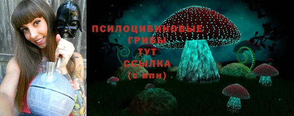 первитин Белокуриха